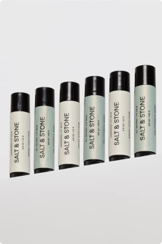 SALT & STONE Lip Balm SPF 30 (1 Pack) | Broad Spectrum Lip Protection | Water Resistant & Reef Safe | Restores Dry Cracked Lips | Cruelty-Free, Gluten-Free | Made in USA