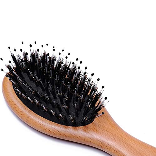 Boar Bristle Hair Brush for Men/Women/Kids - Mini Natural Beech Wood Professional Detangler Hairbrush for Pocket/Purse/Travel, Giftbox Included