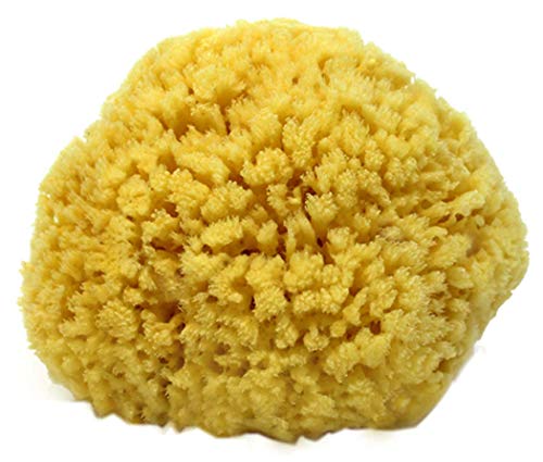 Natural Sea Sponge Small 4-5" by Spa Destinations®"Creating The Perfect Bath and Shower Experience" Amazing Natural Renewable Resource!