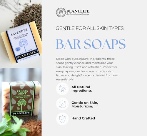 Plantlife Peppermint 3-pack Bar Soap - Moisturizing and Soothing Soap for Your Skin - Hand Crafted Using Plant-Based Ingredients - Made in California 4oz Bar