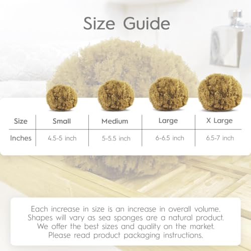 Naroa Exfoliating Natural Sponge for Bathing | Bath Sea Sponge for Healthy Skin | Unbleached Shower Body Scrubber Puff | Eco Friendly Plastic Free Sponge (Exfoliate - X Large)