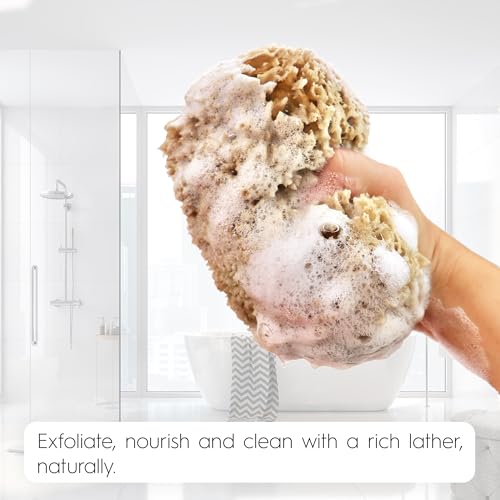 Naroa Exfoliating Natural Sponge for Bathing | Bath Sea Sponge for Healthy Skin | Unbleached Shower Body Scrubber Puff | Eco Friendly Plastic Free Sponge (Exfoliate - X Large)