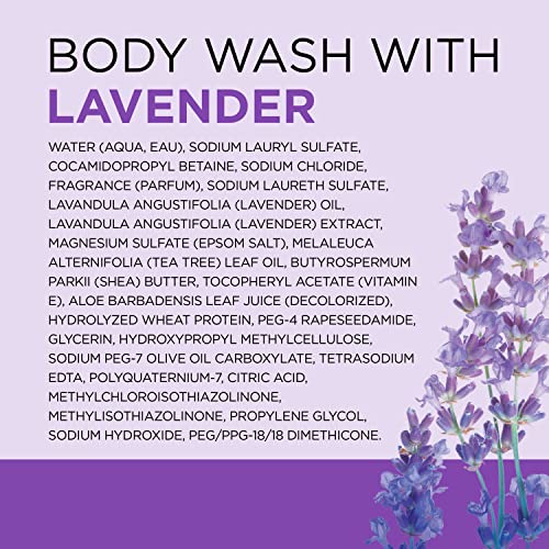 Dr Teal's Body Wash with Pure Epsom Salt, Soothe & Sleep with Lavender, 24 fl oz (Pack of 4) (Packaging May Vary)