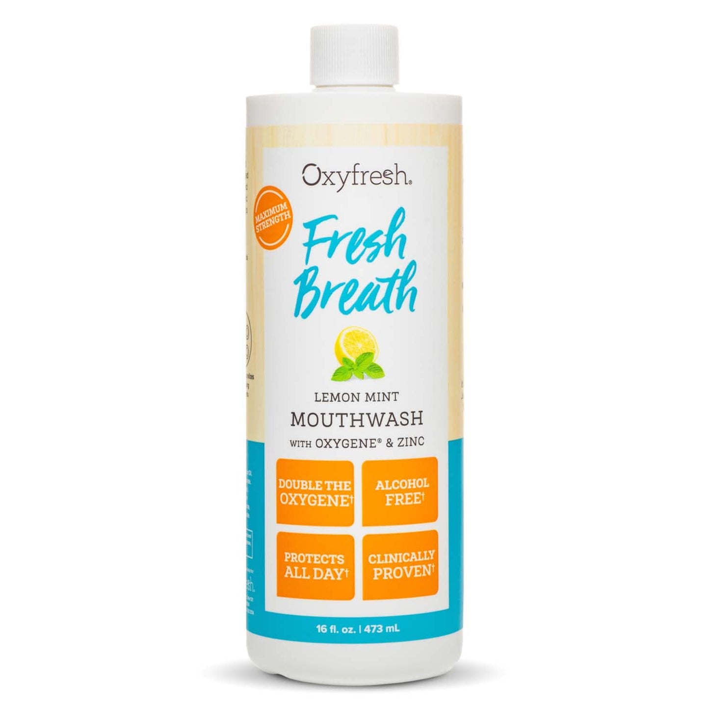 Oxyfresh Premium Lemon Mint Fresh Breath Mouthwash – Oral Rinse for Bad Breath – SLS & Fluoride Free Mouthwash – Alcohol Free, Gentle Non Burning Mouthwash with Xylitol & Essential Oils, 3 Pack16 oz