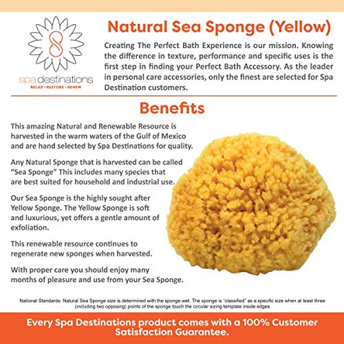 Natural Sea Sponge Small 4-5" by Spa Destinations®"Creating The Perfect Bath and Shower Experience" Amazing Natural Renewable Resource!