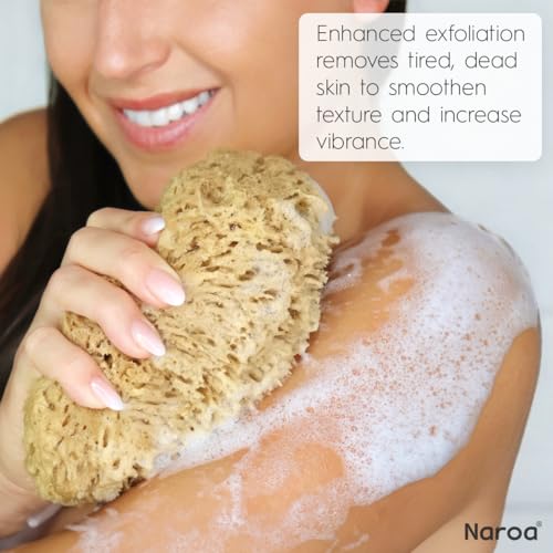 Naroa Exfoliating Natural Sponge for Bathing | Bath Sea Sponge for Healthy Skin | Unbleached Shower Body Scrubber Puff | Eco Friendly Plastic Free Sponge (Exfoliate - X Large)