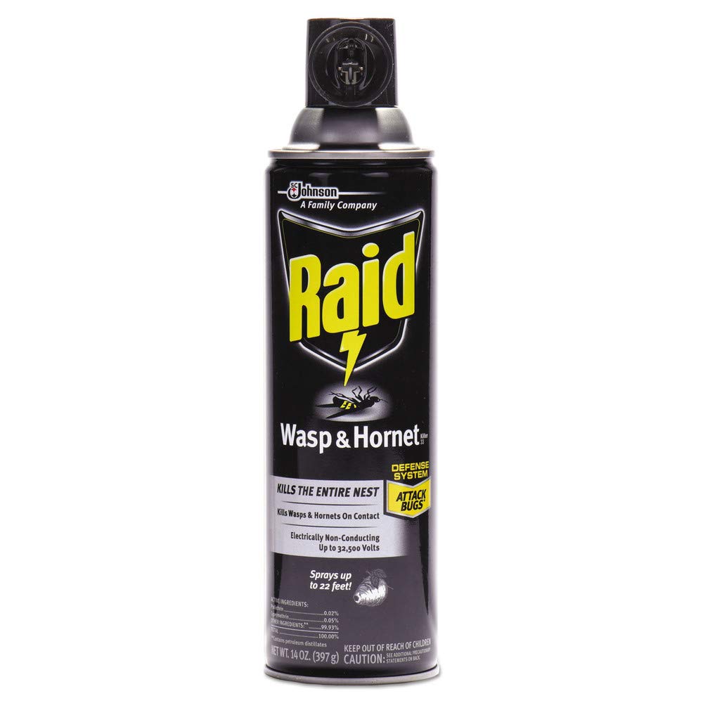 Raid Wasp and Hornet Killer Spray, Kills the entire nest, Kills Paper Wasps, Yellow Jackets, Mud Daubers and more, 14 oz (Pack of 12)