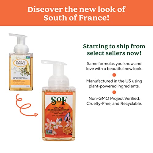 South Of France Orange Blossom & Honey Foaming Hand Wash by SoF Body Care (Formerly Body Care) | Hydrating Organic Agave Nectar | 8 oz Pump Bottle Each | 6 Bottles