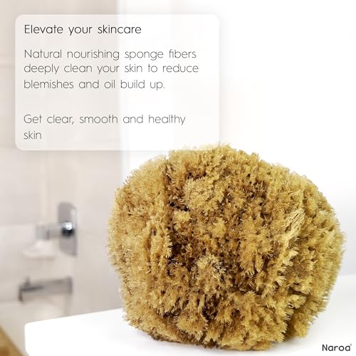 Naroa Exfoliating Natural Sponge for Bathing | Bath Sea Sponge for Healthy Skin | Unbleached Shower Body Scrubber Puff | Eco Friendly Plastic Free Sponge (Exfoliate - X Large)