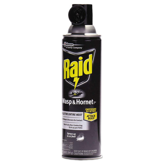 Raid Wasp and Hornet Killer Spray, Kills the entire nest, Kills Paper Wasps, Yellow Jackets, Mud Daubers and more, 14 oz (Pack of 12)