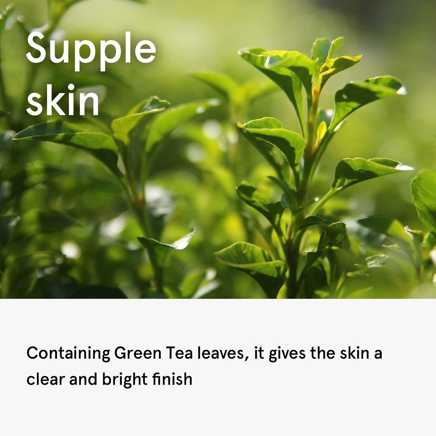 ONE THING Camellia Sinensis Leaf Extract Toner 5.07 Fl Oz | Green Tea Hydrating Soothing Facial Extracto for Sensitive Oily Dehydrated Acne Prone Skin, Glowy Dewy Radiant Glass | Korean Skin Care