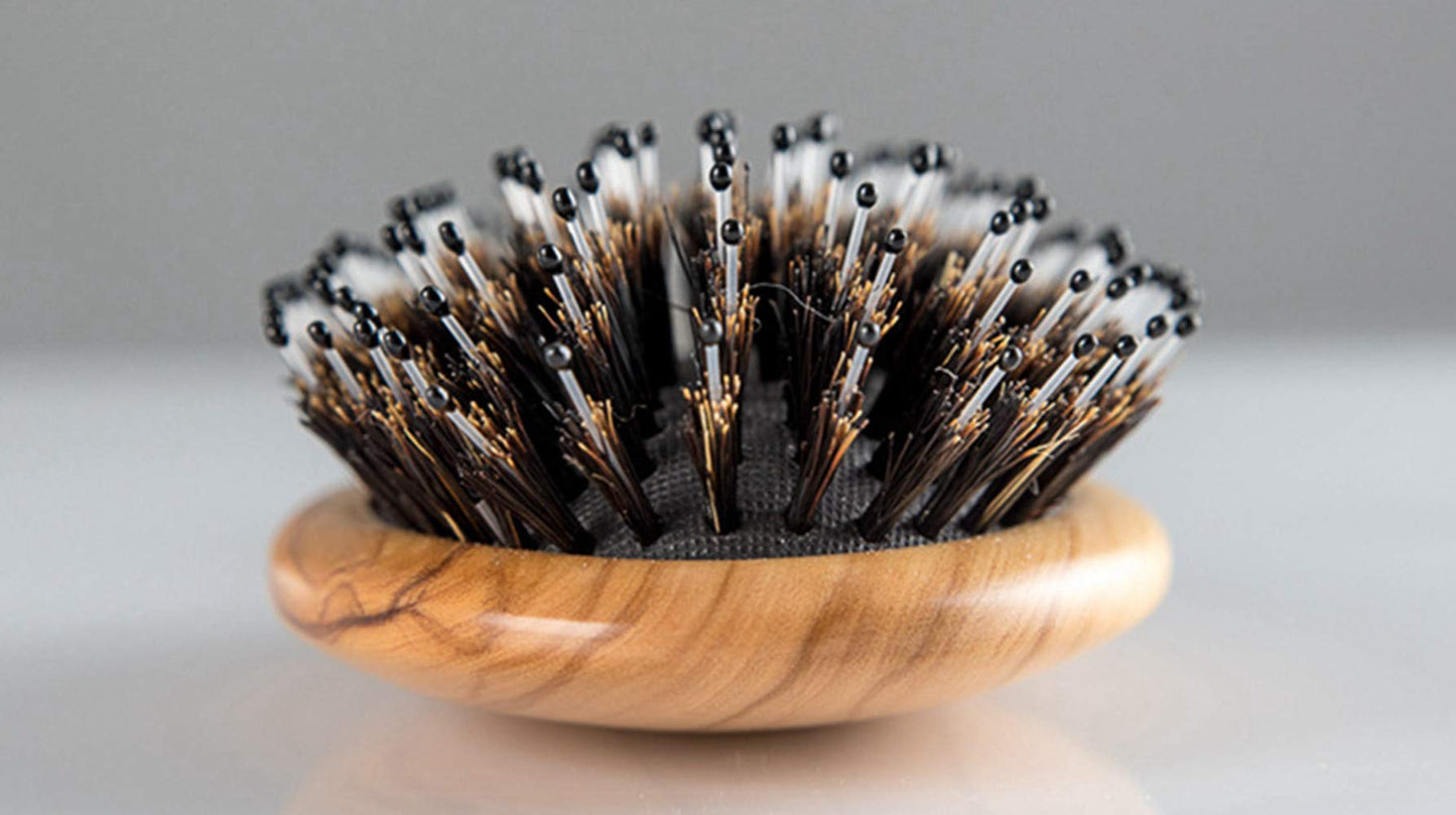 Wild Boar Bristle Hairbrush with Waxed Olive Wood Handle for Styling, Smoothing, Detangling Thick, Thin, Straight, Curly, Wavy, Dry, Damaged Hair to Women, Men, Kids, Giftbox Included