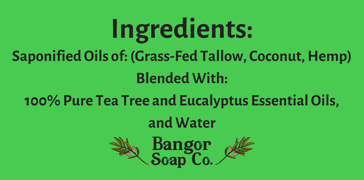 Bangor Soap Co.'s COOLING TEA TREE EUCALYPTUS Pure, Natural Whipped Soap with the FINEST Tallow, Coconut, and Hemp, for the SMOOTHEST Lather in Skin Care