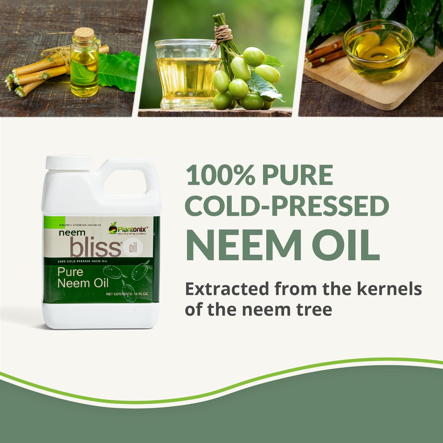 Neem Bliss (2.5 Gallons) - Pure Neem Oil Concentrate - 100% Cold Pressed Neem Oil - All-Natural Neem Oil Concentrate - Pure Neem Oil Extract - Unrefined Neem Oil for Hair - Neem Seed Oil Concentrate