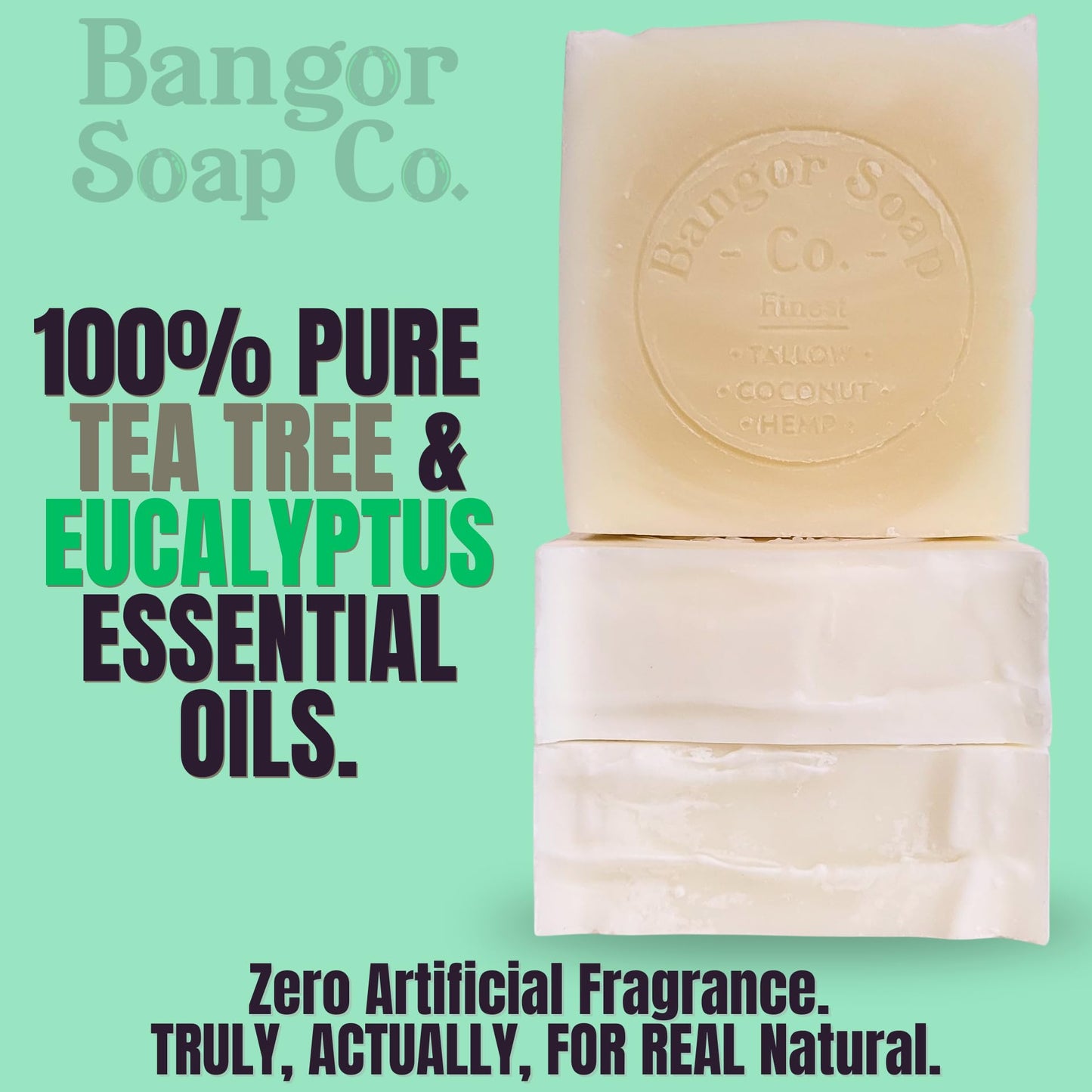 Bangor Soap Co.'s COOLING TEA TREE EUCALYPTUS Pure, Natural Soap Bars, The FINEST Tallow, Coconut, and Hemp, NOTHING Artificial, NOTHING Superficial for A Smooth, Nourishing Lather (3-Pack)…