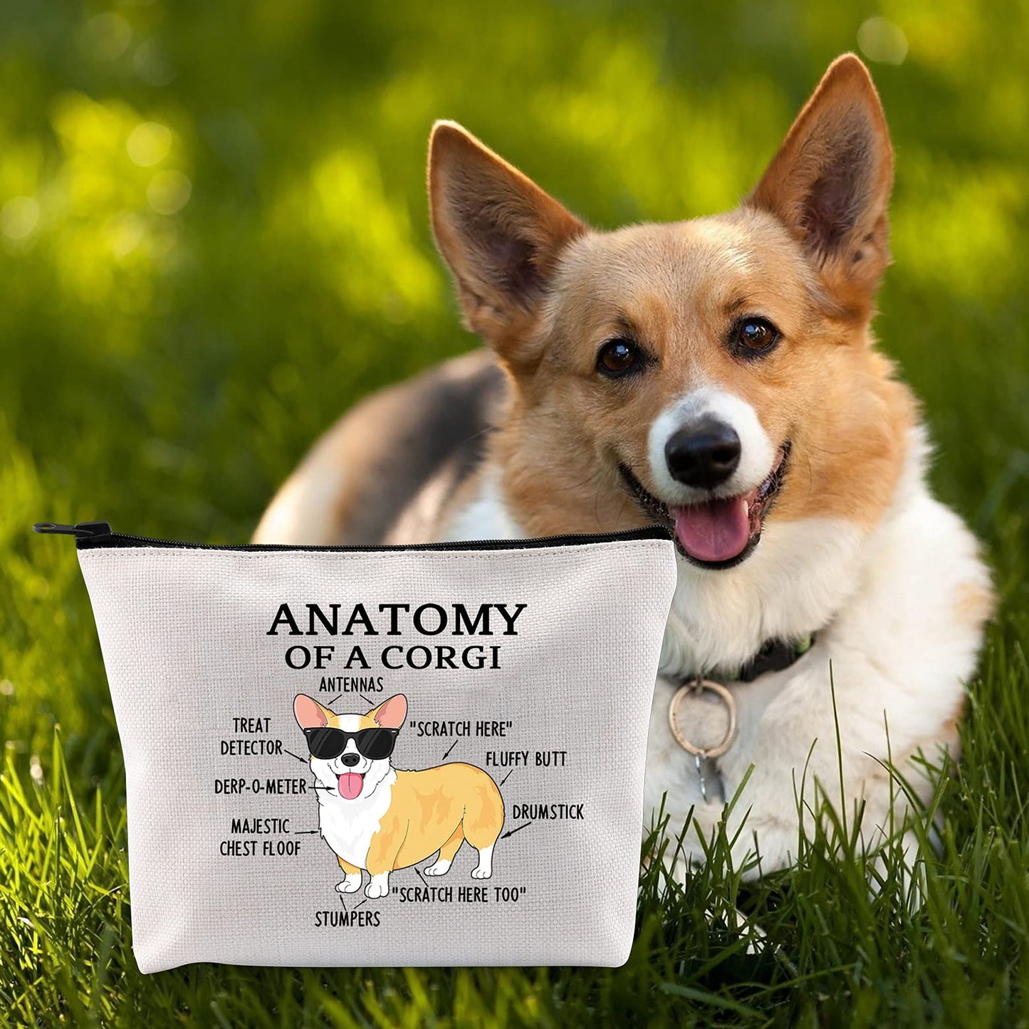 G2TUP Corgi Lover Gift Anatomy of a Corgi Makeup Bag Corgi Mom Cosmetic Bag with Zipper Corgi Owner Gift Dog Mama Lover Gift (Anatomy of a Corgi White Bag)